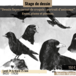 Stage « Dessin façon carnet de croquis: portrait d’animaux » X Noémie Mangin – du 24/06 au 25/06